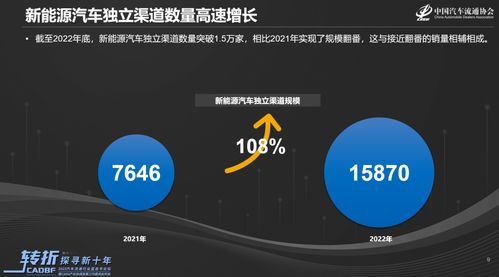 2022-2023年度新能源汽車渠道發(fā)展與新能源開發(fā)全景洞察